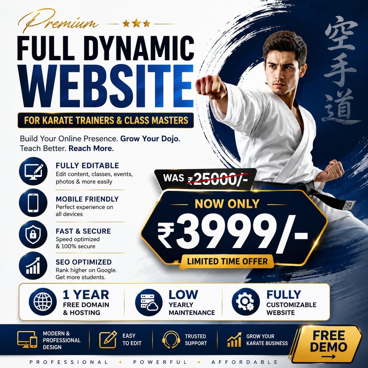 Website Development Offer 013